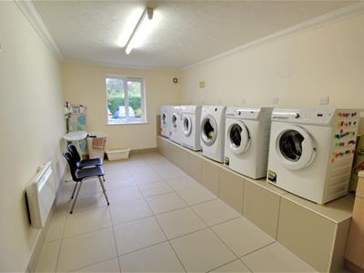 Picture 14